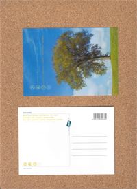 CARTOLINA LENTICOLARE